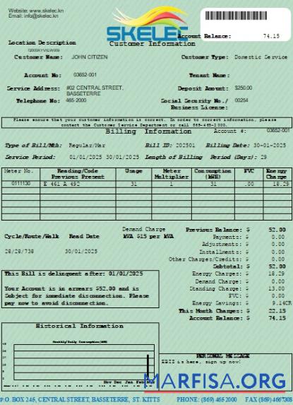 Realistic St. Kitts Electricity Company (SKELEC) utility bill editable template in PDF and Word formats